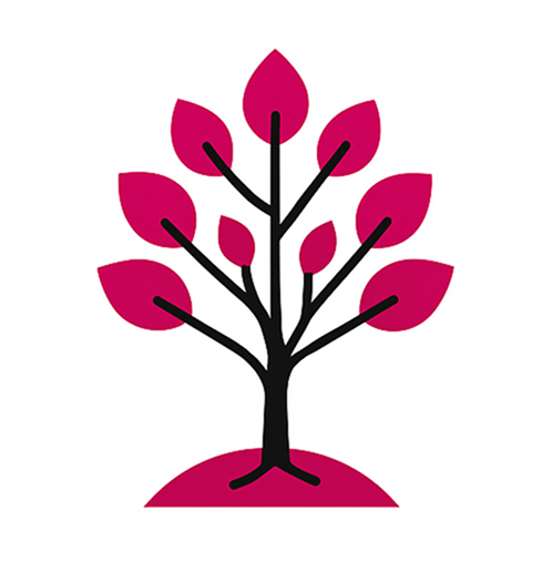 בניית אתרים באילת | אתרי תדמית באילת | אתרי מסחר באילת - קידום אורגני | קידום ממומן |